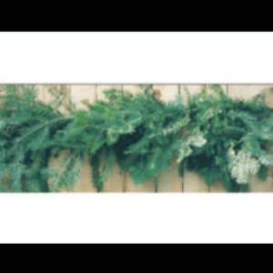 25′ Premium Cedar Garland