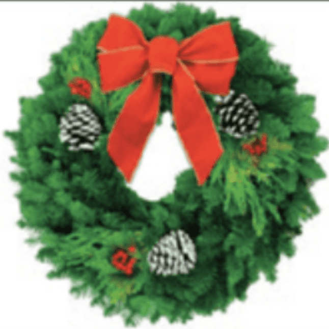24″ Decorator Wreath Boxed w/Velvet Ribbon