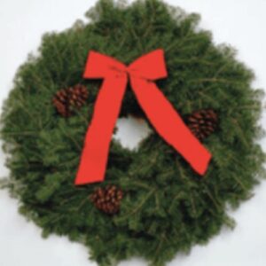 24″ Single Face Balsam with Velvet Ribbon